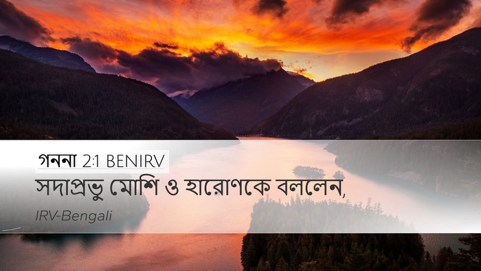 গননা 2:1 BENIRV Desktop Wallpaper - সদাপ্রভু মোশি ও - Desktop Bible Verse Wallpaper