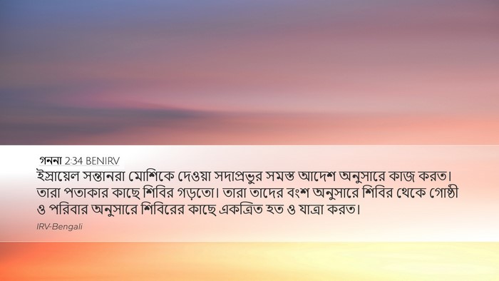গননা 2:34 BENIRV Bible Verse Image