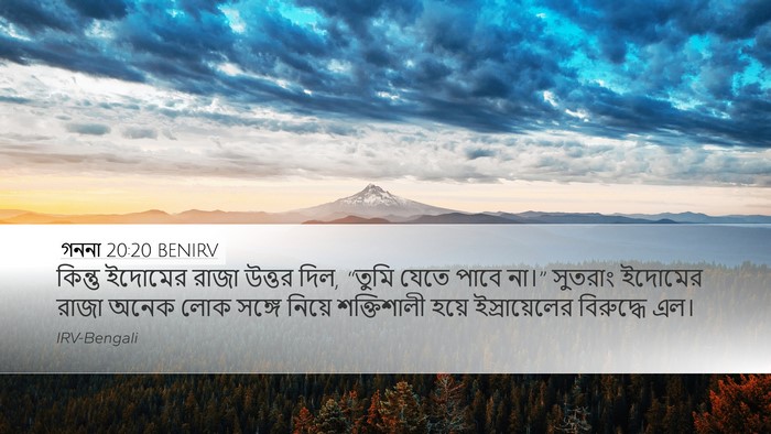 গননা 20:20 BENIRV Desktop Wallpaper - কিন্তু ইদোমের - Desktop Bible Verse Wallpaper