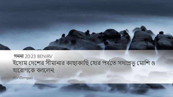 গননা 20:23 BENIRV Desktop Wallpaper - ইদোম দেশের - Desktop Bible Verse Wallpaper