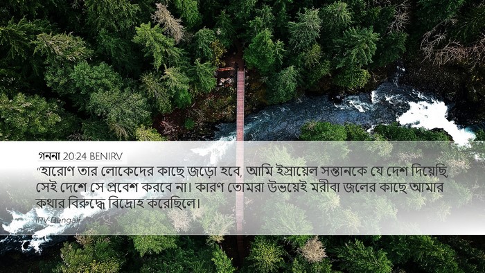 গননা 20:24 BENIRV Bible Verse Image