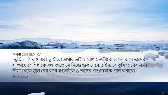 গননা 20:8 BENIRV Bible Verse Image