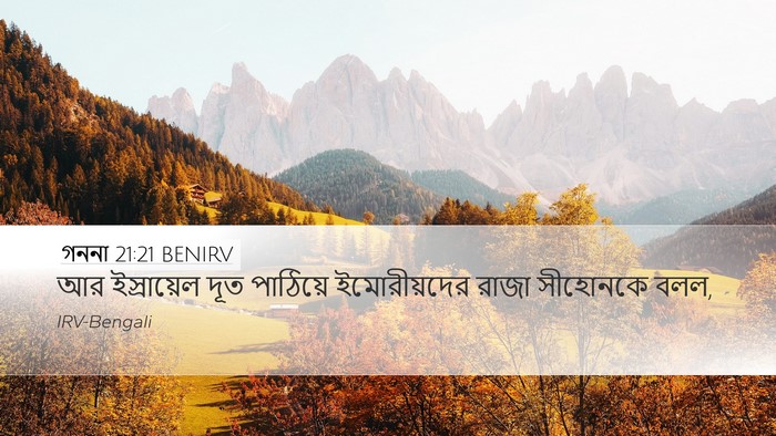 গননা 21:21 BENIRV Bible Verse Image