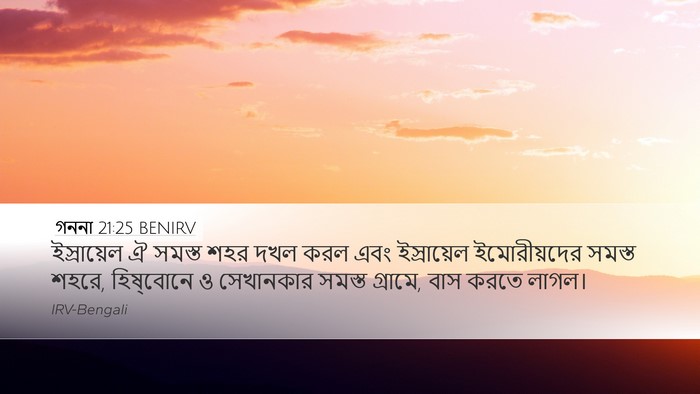 গননা 21:25 BENIRV Bible Verse Image