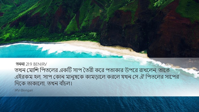 গননা 21:9 BENIRV Desktop Wallpaper - তখন মোশি পিতলের - Desktop Bible Verse Wallpaper