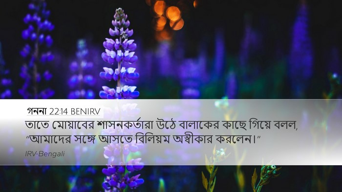 গননা 22:14 BENIRV Bible Verse Image