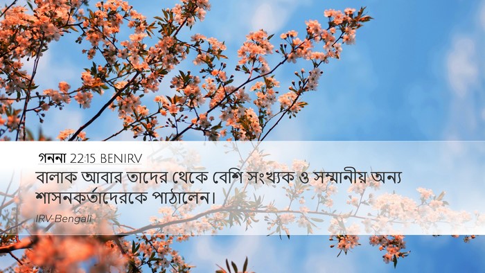 গননা 22:15 BENIRV Desktop Wallpaper - বালাক আবার তাদের - Desktop Bible Verse Wallpaper