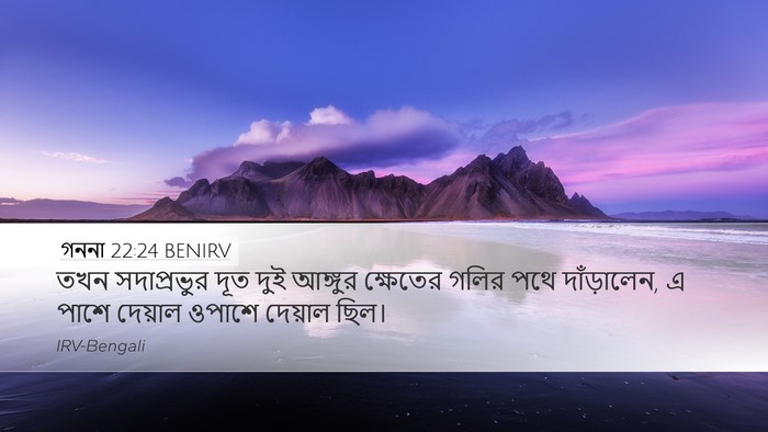 গননা 22:24 BENIRV Desktop Wallpaper - তখন সদাপ্রভুর দূত - Desktop Bible Verse Wallpaper