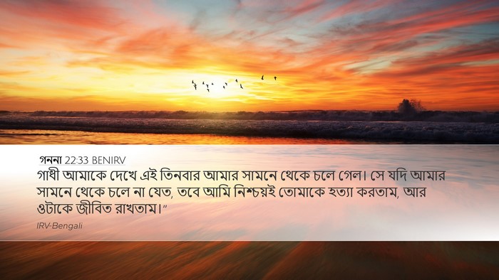 গননা 22:33 BENIRV Desktop Wallpaper - গাধী আমাকে দেখে এই - Desktop Bible Verse Wallpaper
