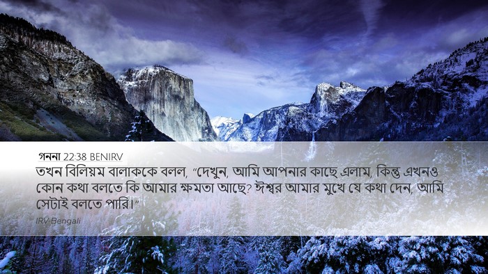 গননা 22:38 BENIRV Bible Verse Image