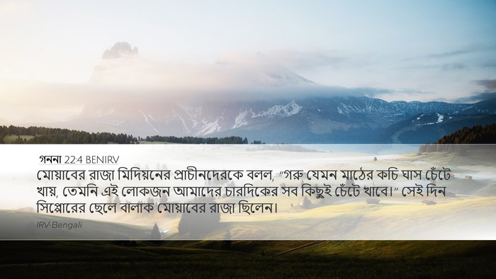 গননা 22:4 BENIRV Desktop Wallpaper - মোয়াবের রাজা - Desktop Bible Verse Wallpaper
