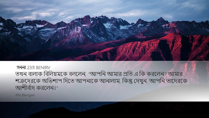 গননা 23:11 BENIRV Bible Verse Image