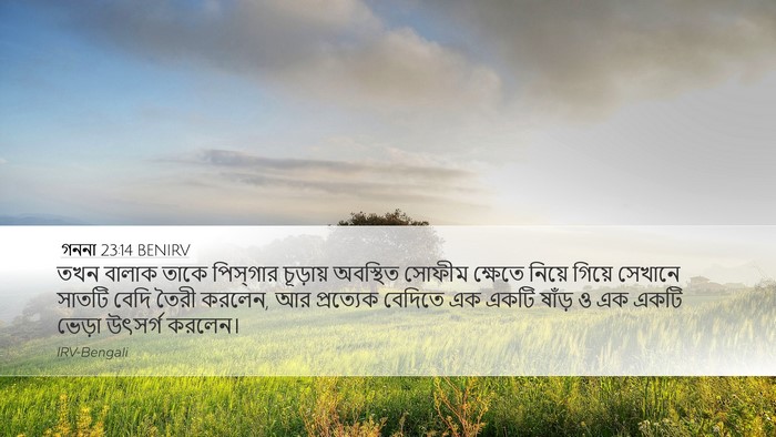 গননা 23:14 BENIRV Bible Verse Image