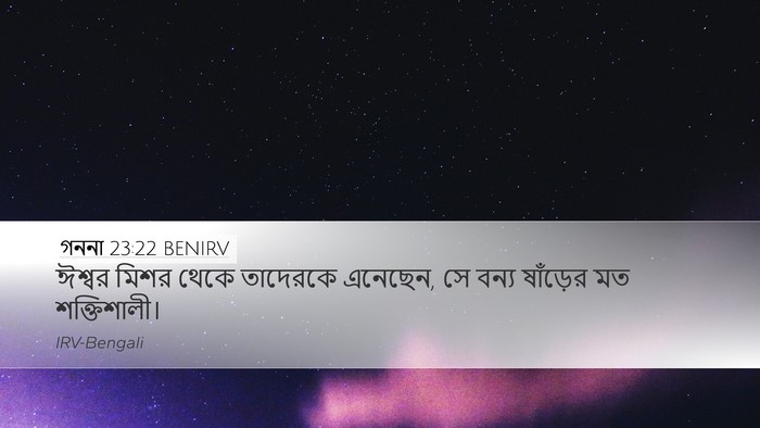 গননা 23:22 BENIRV Bible Verse Image