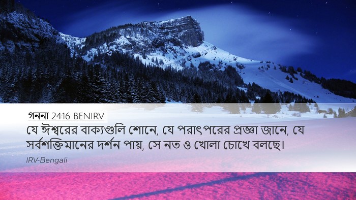 গননা 24:16 BENIRV Bible Verse Image