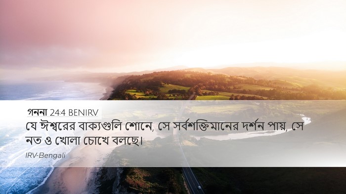 গননা 24:4 BENIRV Bible Verse Image