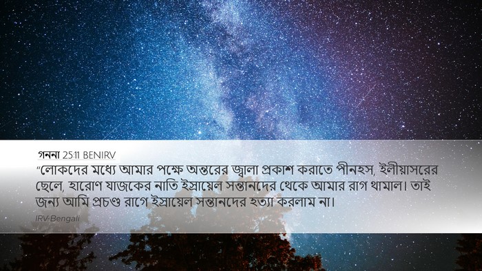 গননা 25:11 BENIRV Bible Verse Image