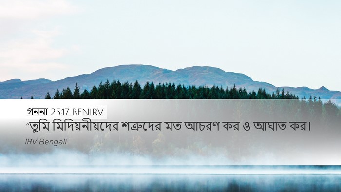 গননা 25:17 BENIRV Desktop Wallpaper - “তুমি - Desktop Bible Verse Wallpaper