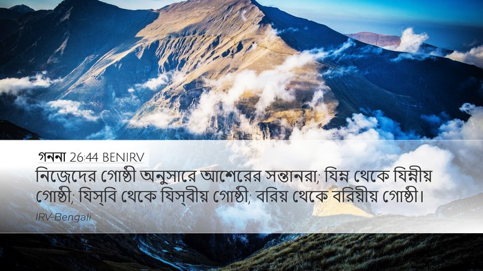 গননা 26:44 BENIRV Bible Verse Image