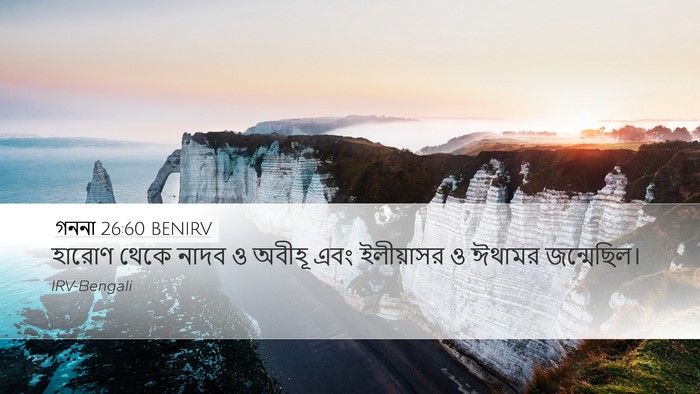 গননা 26:60 BENIRV Bible Verse Image