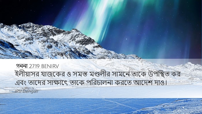 গননা 27:19 BENIRV Bible Verse Image