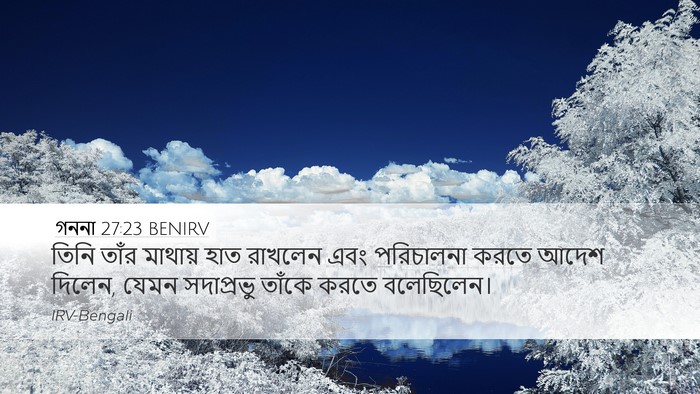 গননা 27:23 BENIRV Bible Verse Image