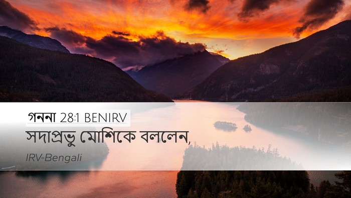 গননা 28:1 BENIRV Desktop Wallpaper - সদাপ্রভু মোশিকে - Desktop Bible Verse Wallpaper