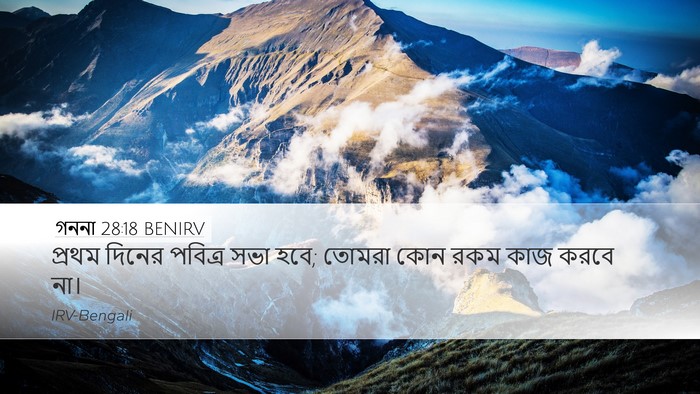 গননা 28:18 BENIRV Bible Verse Image
