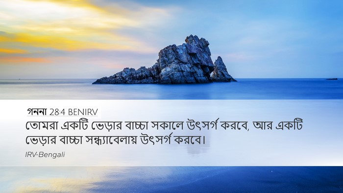 গননা 28:4 BENIRV Desktop Wallpaper - তোমরা একটি ভেড়ার - Desktop Bible Verse Wallpaper