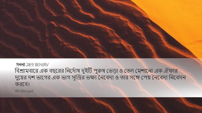 গননা 28:9 BENIRV Bible Verse Image