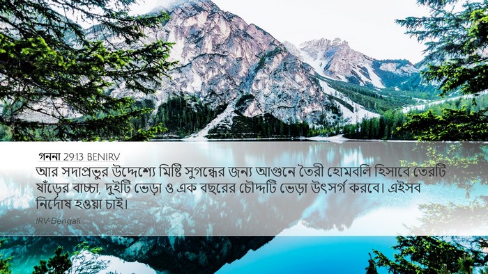 গননা 29:13 BENIRV Bible Verse Image