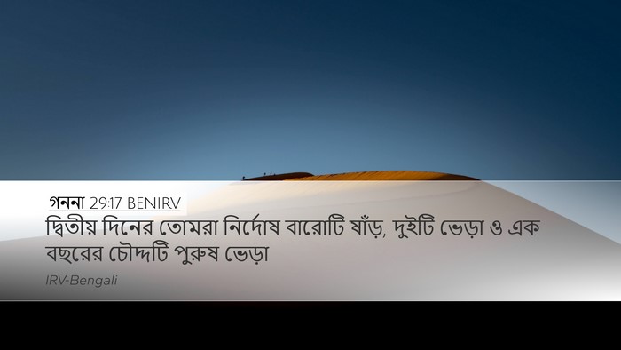 গননা 29:17 BENIRV Desktop Wallpaper - দ্বিতীয় দিনের - Desktop Bible Verse Wallpaper