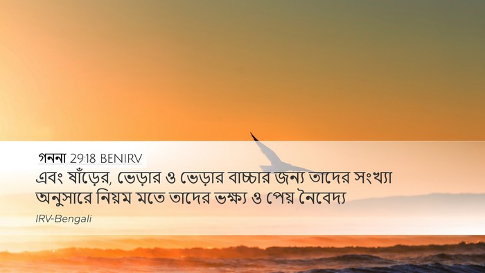 গননা 29:18 BENIRV Bible Verse Image