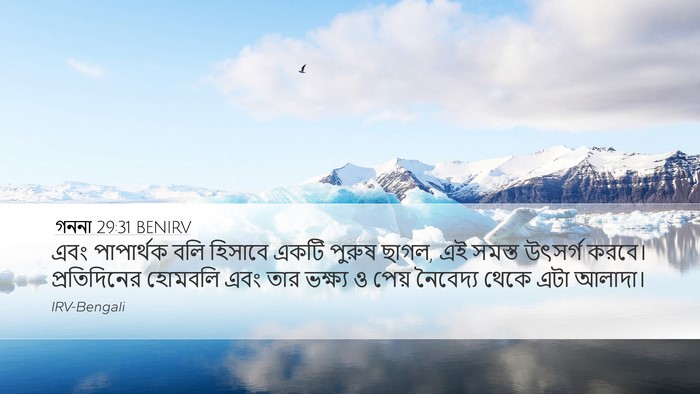 গননা 29:31 BENIRV Bible Verse Image