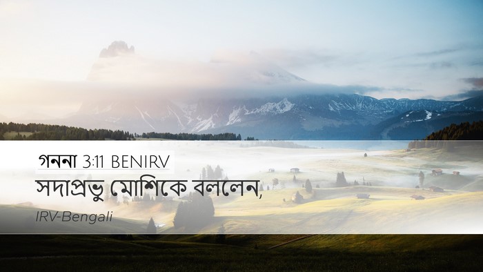 গননা 3:11 BENIRV Desktop Wallpaper - সদাপ্রভু মোশিকে - Desktop Bible Verse Wallpaper