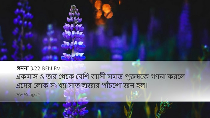 গননা 3:22 BENIRV Desktop Wallpaper - একমাস ও তার থেকে - Desktop Bible Verse Wallpaper