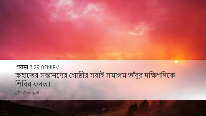 গননা 3:29 BENIRV Bible Verse Image