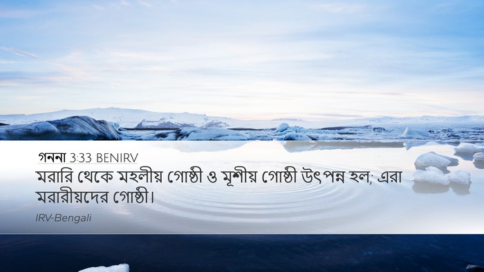 গননা 3:33 BENIRV Desktop Wallpaper - মরারি থেকে মহলীয় - Desktop Bible Verse Wallpaper