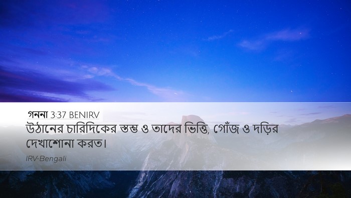গননা 3:37 BENIRV Desktop Wallpaper - উঠানের চারিদিকের - Desktop Bible Verse Wallpaper