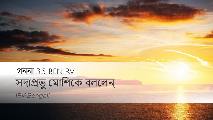 গননা 3:5 BENIRV Desktop Wallpaper - সদাপ্রভু মোশিকে - Desktop Bible Verse Wallpaper