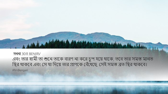 গননা 30:11 BENIRV Desktop Wallpaper - এবং তার স্বামী তা - Desktop Bible Verse Wallpaper