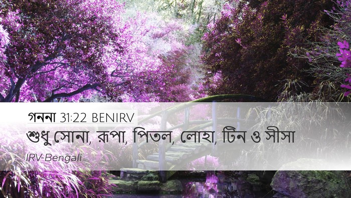গননা 31:22 BENIRV Bible Verse Image