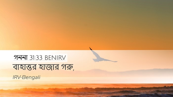 গননা 31:33 BENIRV Desktop Wallpaper - বাহাত্তর হাজার - Desktop Bible Verse Wallpaper