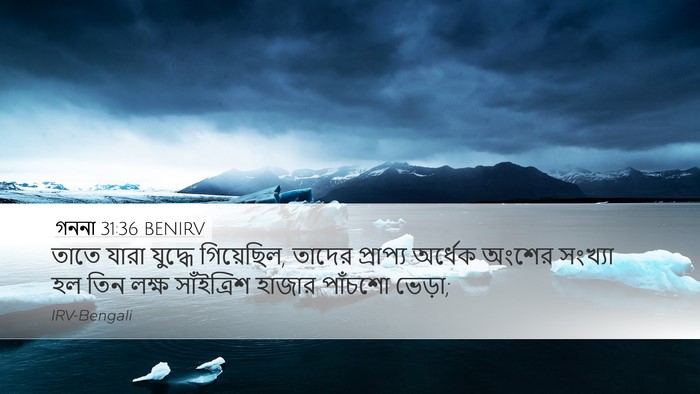 গননা 31:36 BENIRV Desktop Wallpaper - তাতে যারা যুদ্ধে - Desktop Bible Verse Wallpaper