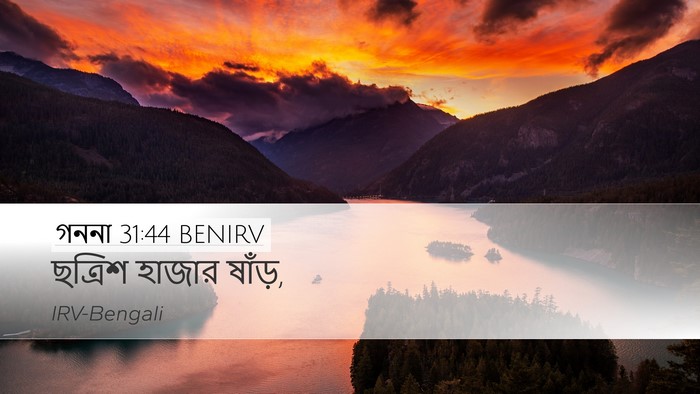 গননা 31:44 BENIRV Desktop Wallpaper - ছত্রিশ হাজার - Desktop Bible Verse Wallpaper