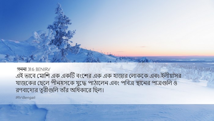 গননা 31:6 BENIRV Bible Verse Image