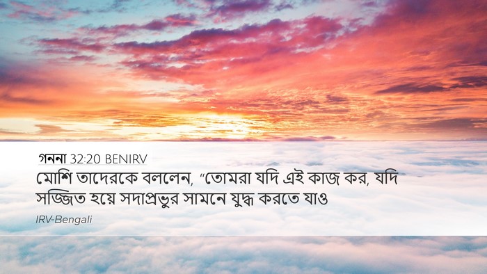 গননা 32:20 BENIRV Bible Verse Image