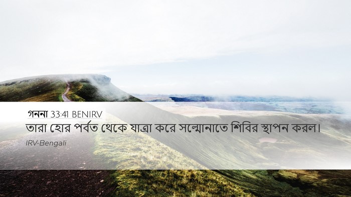 গননা 33:41 BENIRV Bible Verse Image