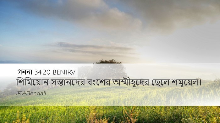 গননা 34:20 BENIRV Desktop Wallpaper - শিমিয়োন - Desktop Bible Verse Wallpaper