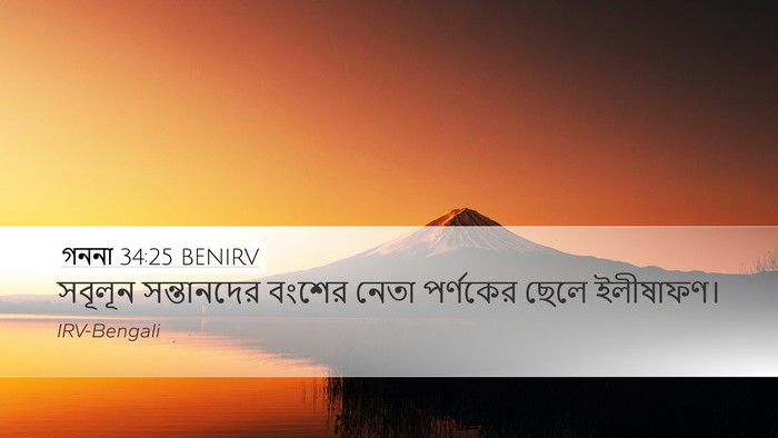 গননা 34:25 BENIRV Desktop Wallpaper - সবূলূন সন্তানদের - Desktop Bible Verse Wallpaper